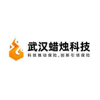 武汉蜡烛科技 照亮数字未来的网络技术服务先锋